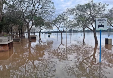 Desde Salto Grande se especificó cuando comenzaría a descender el río en Concordia