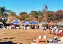 FERIA PASEO DEL RÍO EN EL PARQUE SAN CARLOS