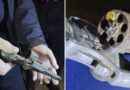 Tres allanamientos por un robo terminaron con un hombre detenido por tenencia ilegal de arma