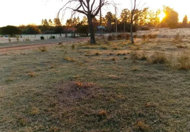 Semana de bajas temperaturas en Entre Ríos y el país