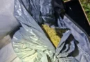 Interceptaron a una pareja cuando intentaba salir de Entre Ríos con marihuana