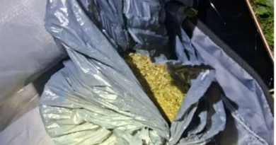 Interceptaron a una pareja cuando intentaba salir de Entre Ríos con marihuana