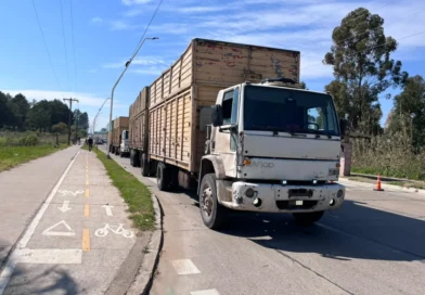 El camionero que chocó contra una zorra en Concordia contó cómo ocurrió el accidente