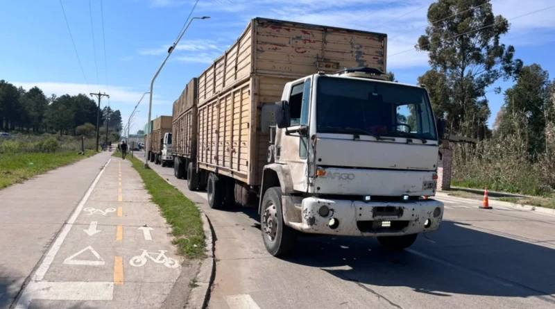 El camionero que chocó contra una zorra en Concordia contó cómo ocurrió el accidente