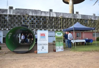 Concordia reunió al sector forestal del país en las 40ª Jornadas Forestales de Entre Ríos