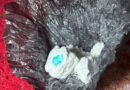 Allanamientos por amenazas: encontraron cocaína y detuvieron a un hombre en Concordia