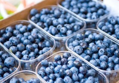 Arandaneros locales estiman una caída de hasta el 35% en la producción del fruto azul