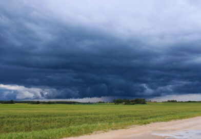 El Niño 2026: cuáles son las zonas de Argentina con mayor riesgo de tormentas y fenómenos extremos