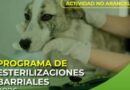 PROGRAMA DE ESTERILIZACIONES GRATUITAS EN EL BARRIO LOS PÁJAROS