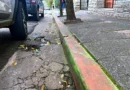 Varios cordones verdes comienzan a perder su color en la zona del estacionamiento medido