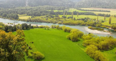 La Corte Suprema suspendió la derogación de la Ley de Tierras