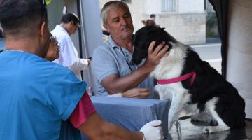 EL PROGRAMA DE ESTERILIZACIONES ATENDERÁ EN EL BARRIO LAVARDÉN