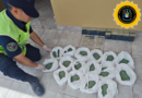 El Gobierno de Entre Ríos secuestró más de 38.000 pastillas de psicofármacos en un operativo