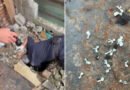 Cinco personas fueron aprehendidas durante un allanamiento por el robo de un celular