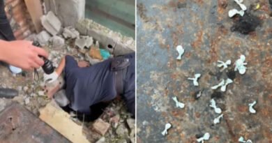 Cinco personas fueron aprehendidas durante un allanamiento por el robo de un celular