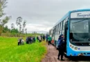 Un control a colectivos de trabajadores de la cosecha terminó con cocaína y marihuana secuestradas