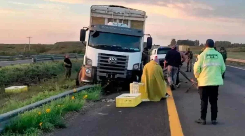 Ruta 14: Un camión despistó tras intentar esquivar un ciervo cerca de Concordia