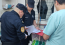 Una vecina de Concordia habría envenenado comida para matar palomas: secuestraron veneno en su casa